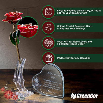 description_selected3