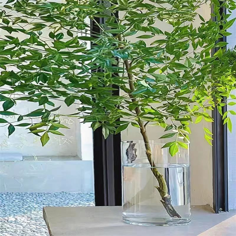 description_selected2