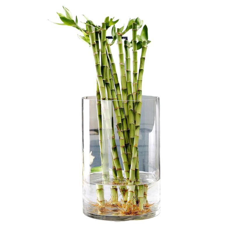 description_selected4