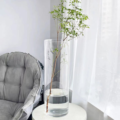 Crystal Clear Acrylic Lucky Bamboo Fish Tank Vase